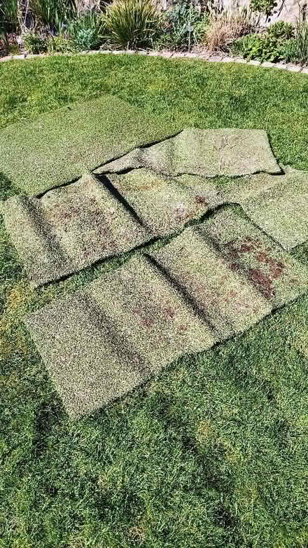 Photo of free 5 Odd Pieces Of Artificial Grass (CT8) #1