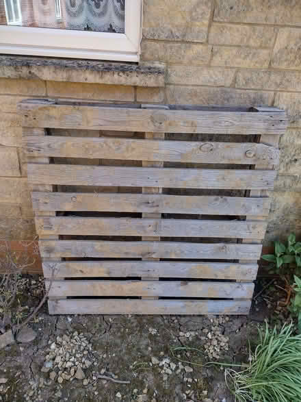 Photo of free One pallet, good condition (Shepton Mallet BA4) #1