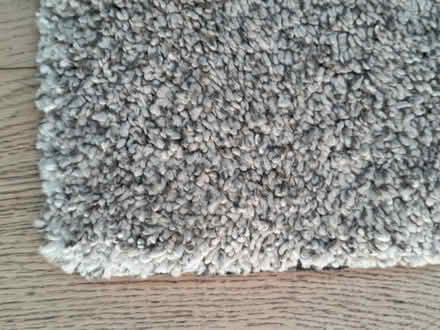 Photo of free Large deep pile Rug (HG3) #2