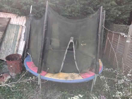 Photo of free Plum Trampoline - 220/230cm diameter (Kenilworth CV8) #1