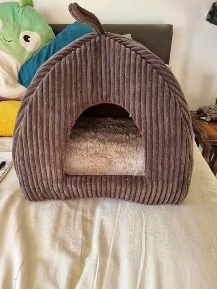 Photo of free Cat Bed (Abraham Heights LA1) #2