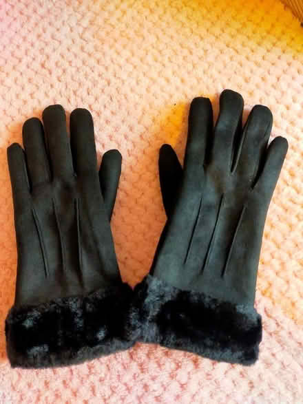 Photo of free Ladies small gloves. Brand new. (Bennetts End HP3) #2