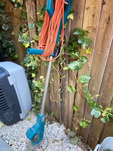 Photo of free Electric weeder (Tunbridge Wells) #2
