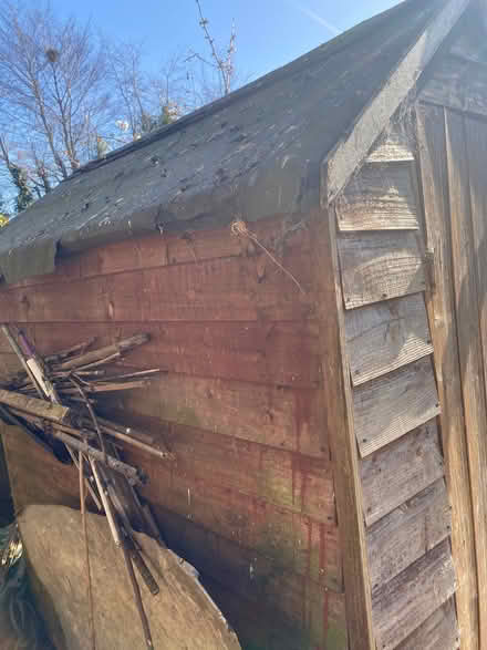Photo of free Shed (Swanley BR8) #2