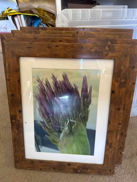 Photo of free 7 picture frames (GL4) #1