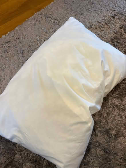 Photo of free John Lewis pillow (KT13) #2