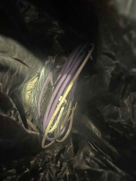 Photo of free Bags of cabling - good for scrap (West Dulwich SE21) #2