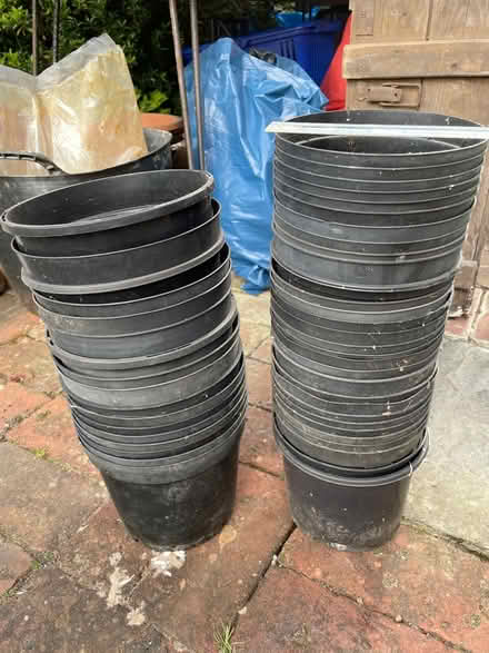 Photo of free Flowerpots (West Wickham area) #1