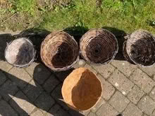 Photo of free Hanging Baskets (Ravensmoor CW5) #1