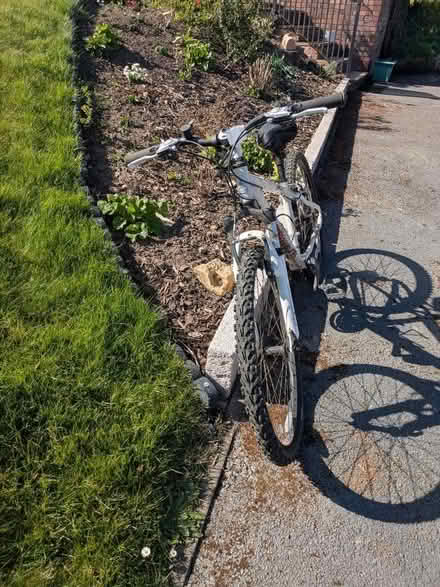 Photo of free Ladies Bicycle (Stainton S66) #3