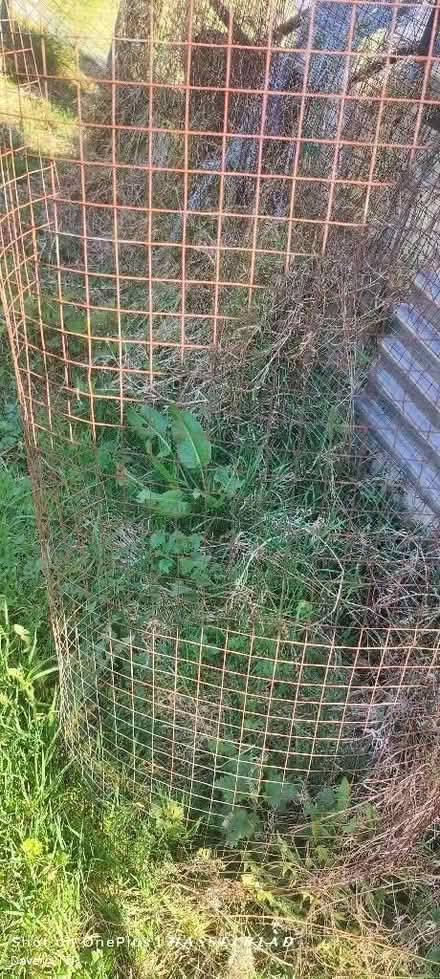 Photo of free Weldmesh wire 2 - 4ft x 11ft long (Gorse Hill M32) #1