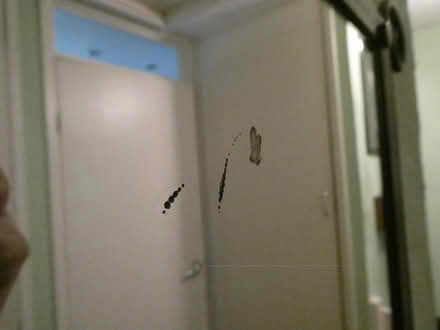 Photo of free Wall Mirror (Swanley BR8) #2