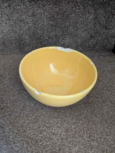 Photo of free Bowl (Loughborough LE11) #1