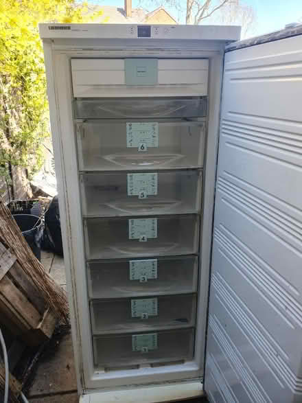 Photo of free Tall upright freezer (UB5) #1