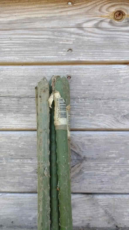 Photo of free Poles for garden (Wilstead MK45) #2