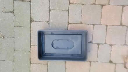 Photo of free Propagator tray with lid (South Norwood SE25) #2