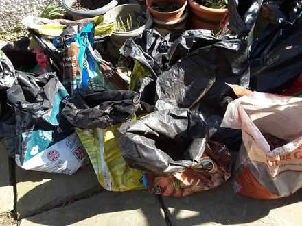 Photo of free Garden decorative stone chips (Liberton EH16) #3