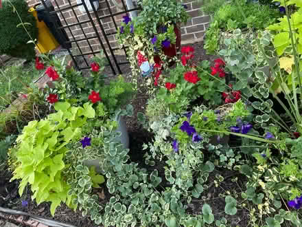 Photo of free Wire baskets/metal tub (Arnold) #4
