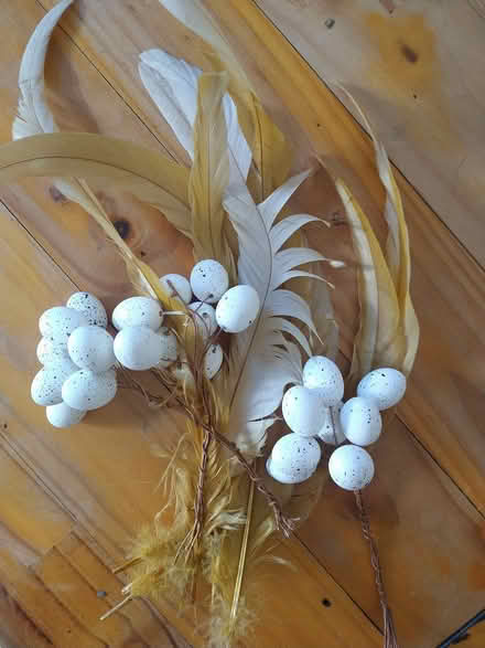 Photo of free Feathers + eggs for wreath making (Malvern Vale WR14) #1