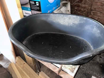 Photo of free Medium plastic dog bed (Lower Stondon) #1