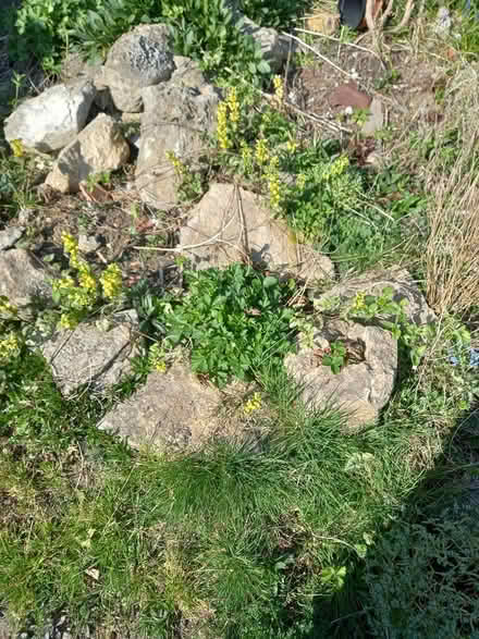 Photo of free Large stones (Weston bath) #1