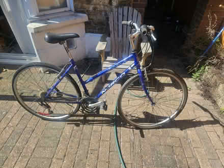 Photo of free Woman's Bike (Walthamstow North E17) #1
