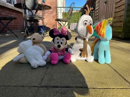 Photo of free Selection of Teddies (Sandyford) #1