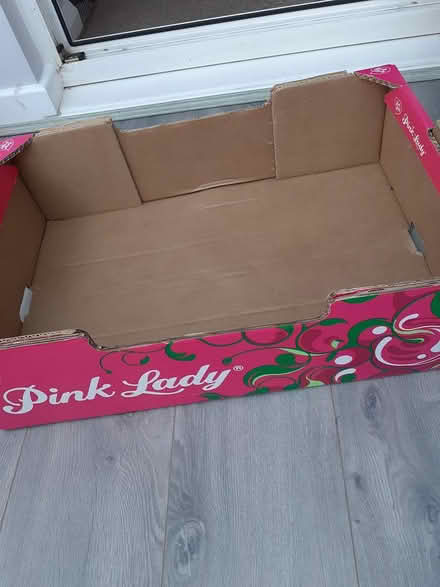 Photo of free Strong cardboard box (Styvechale, Coventry) #1