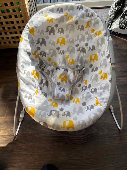 Photo of free Baby bouncy chair (Mansfield, ng18) #1
