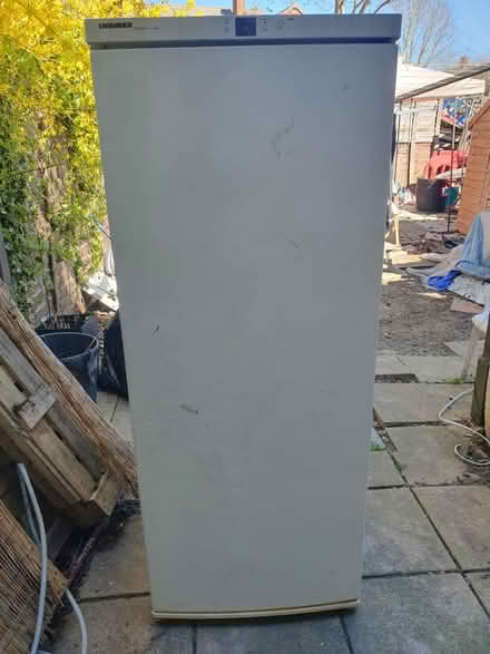Photo of free Tall upright freezer (UB5) #2