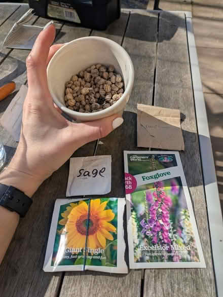 Photo of free Seed selection (Mosspark, Glasgow G52) #1