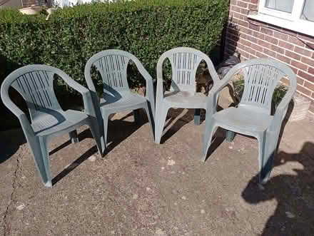 Photo of free 4 garden chairs (North Hinksey OX2) #1