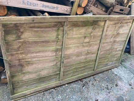 Photo of free Fence panel (Priory Avenue TN34) #2