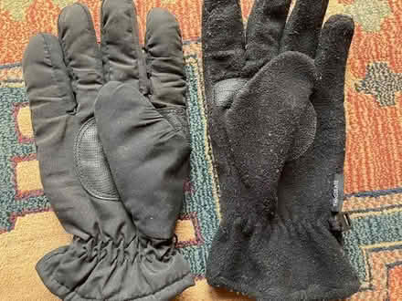Photo of free thinsulate warm gloves (south sunnyvale) #2