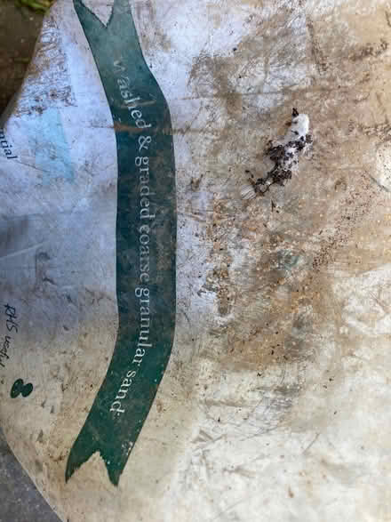 Photo of free Washed and graded granular sand (Landport BN7) #1