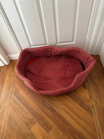 Photo of free Dog Bed (Winwick WA2) #1