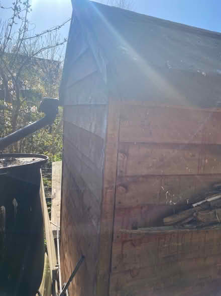 Photo of free Shed (Swanley BR8) #4