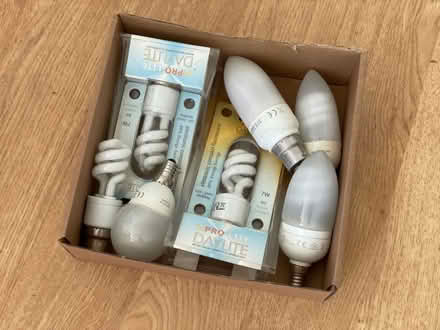 Photo of free Compact fluorescent light bulbs (Chilworth GU4) #1