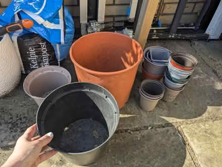 Photo of free Pot selection (Mosspark, Glasgow G52) #1