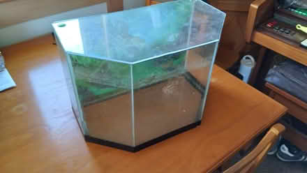 Photo of free Fish tank 6 sided long back (St Helens Chancery lane) #1
