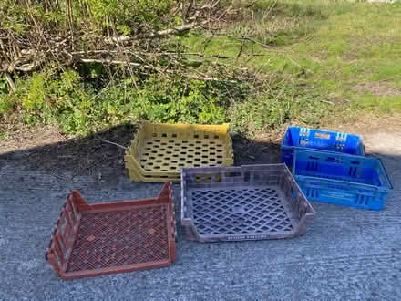 Photo of free 6 x plastic bread. crates (Penyffordd CH4) #3