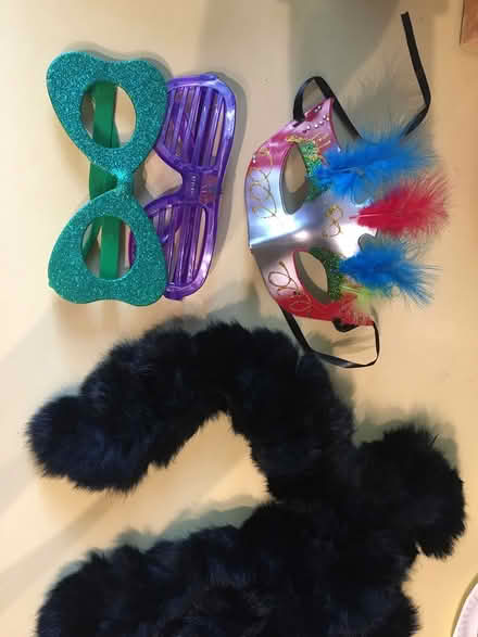 Photo of free Props for costumes (Northwest Sunnyvale) #4