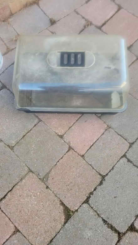 Photo of free Propagator tray with lid (South Norwood SE25) #1