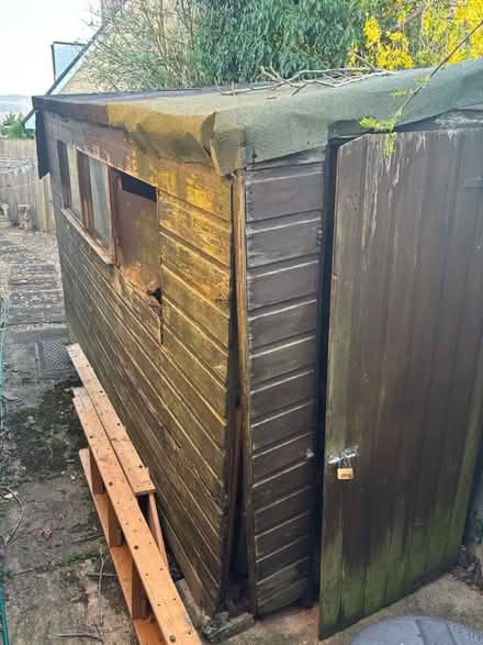 Photo of free Shed going free but needs dismantling (Charlton Kings GL53) #1