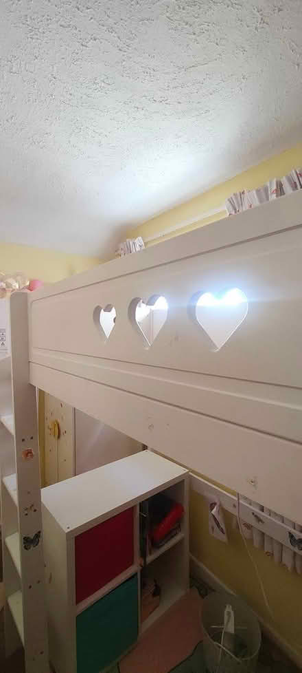 Photo of free Cabin bed (Redditch B96) #1