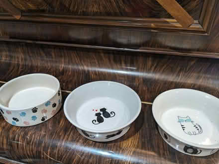 Photo of free Cat bowls (Corstorphine EH12) #2