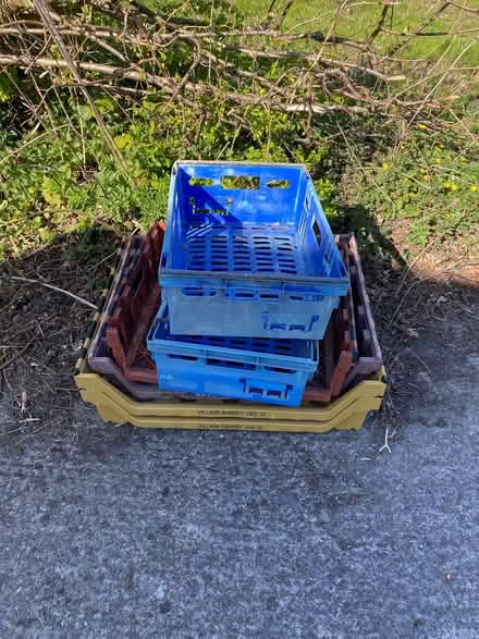 Photo of free 6 x plastic bread. crates (Penyffordd CH4) #2