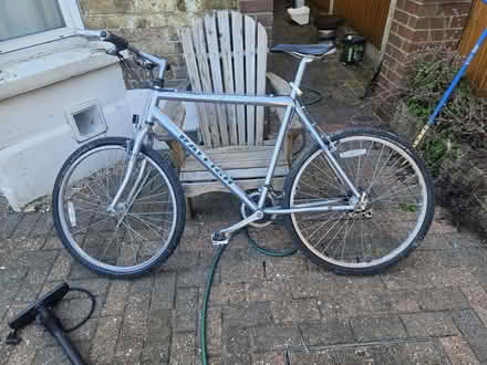 Photo of free Raleigh Mountain Bike (Walthamstow North E17) #1