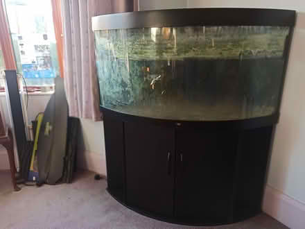 Photo of free Juwel Trigon 350 Aquarium (Kings Heath B14) #1