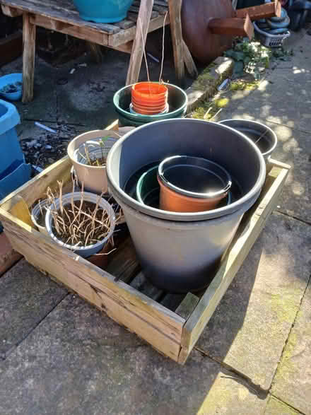 Photo of free Plant pots (Woodseats S8) #2